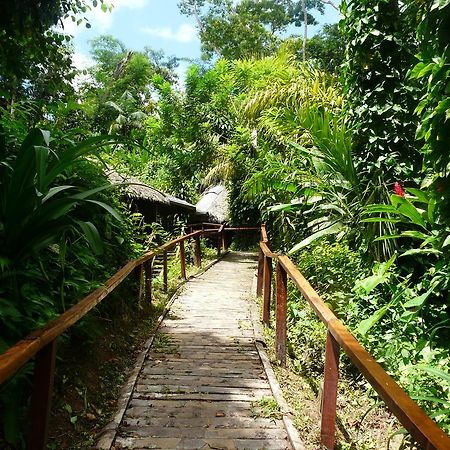 Wasai Puerto Maldonado Hostel ภายนอก รูปภาพ